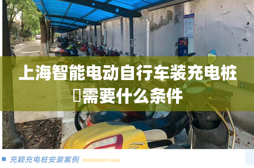 上海智能电动自行车装充电桩​需要什么条件
