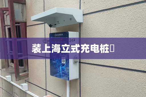 装上海立式充电桩​