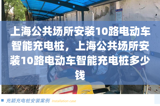 上海公共场所安装10路电动车智能充电桩，上海公共场所安装10路电动车智能充电桩多少钱