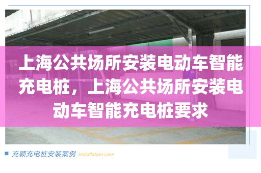 上海公共场所安装电动车智能充电桩，上海公共场所安装电动车智能充电桩要求