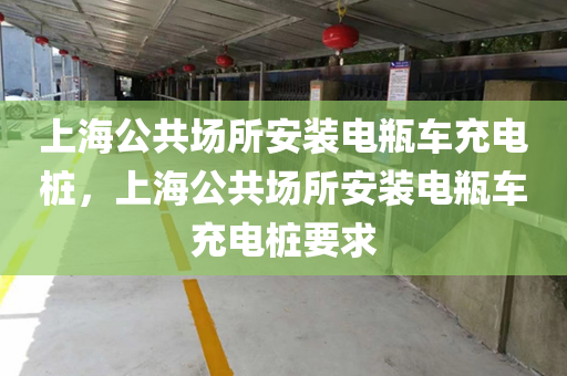 上海公共场所安装电瓶车充电桩，上海公共场所安装电瓶车充电桩要求