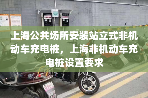 上海公共场所安装站立式非机动车充电桩，上海非机动车充电桩设置要求