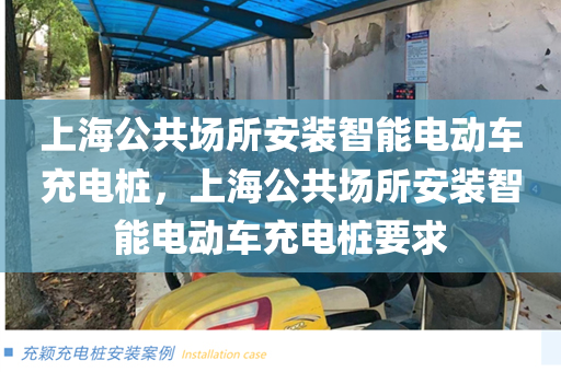 上海公共场所安装智能电动车充电桩，上海公共场所安装智能电动车充电桩要求