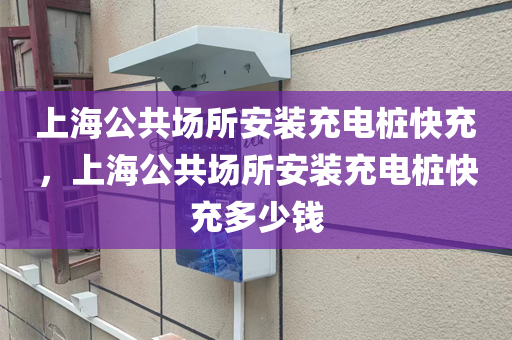 上海公共场所安装充电桩快充，上海公共场所安装充电桩快充多少钱