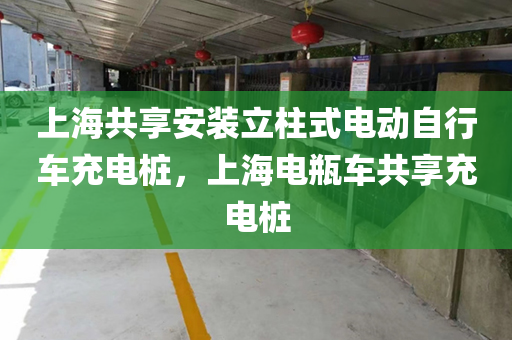 上海共享安装立柱式电动自行车充电桩，上海电瓶车共享充电桩