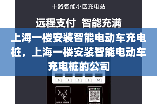 上海一楼安装智能电动车充电桩，上海一楼安装智能电动车充电桩的公司
