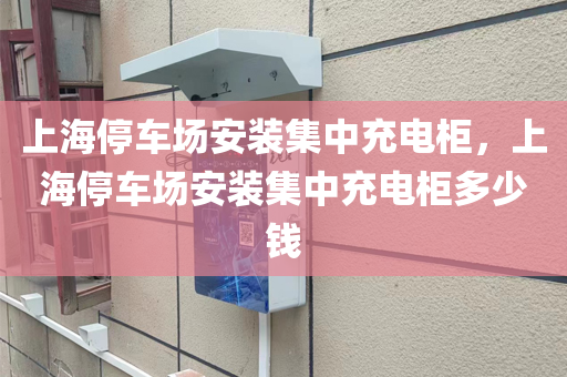 上海停车场安装集中充电柜，上海停车场安装集中充电柜多少钱