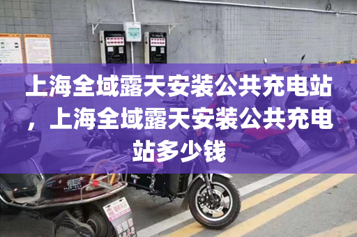 上海全域露天安装公共充电站，上海全域露天安装公共充电站多少钱