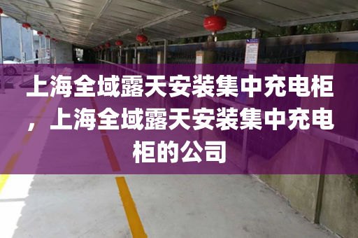 上海全域露天安装集中充电柜，上海全域露天安装集中充电柜的公司
