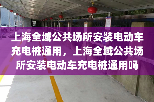 上海全域公共场所安装电动车充电桩通用，上海全域公共场所安装电动车充电桩通用吗