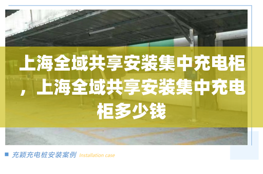 上海全域共享安装集中充电柜，上海全域共享安装集中充电柜多少钱