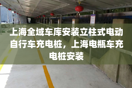 上海全域车库安装立柱式电动自行车充电桩，上海电瓶车充电桩安装