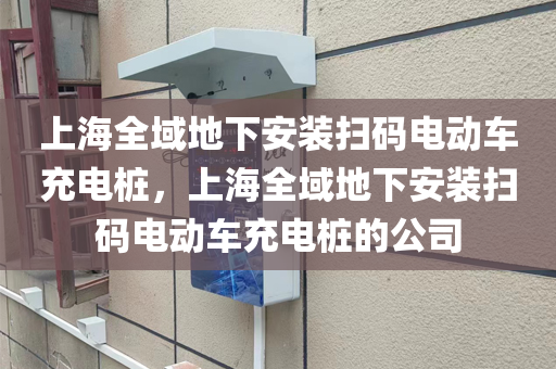 上海全域地下安装扫码电动车充电桩，上海全域地下安装扫码电动车充电桩的公司