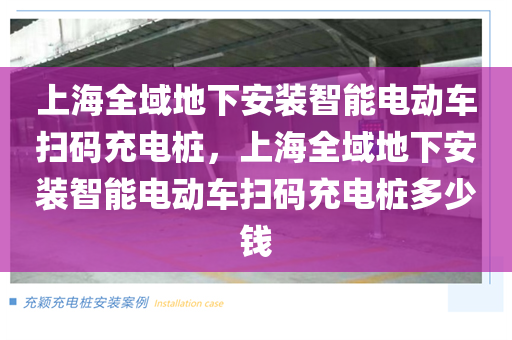 上海全域地下安装智能电动车扫码充电桩，上海全域地下安装智能电动车扫码充电桩多少钱