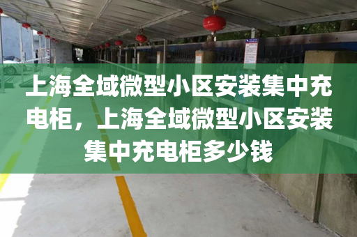 上海全域微型小区安装集中充电柜，上海全域微型小区安装集中充电柜多少钱