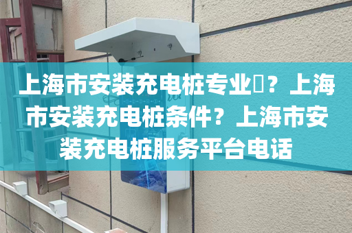 上海市安装充电桩专业​？上海市安装充电桩条件？上海市安装充电桩服务平台电话