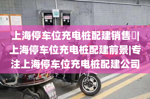 上海停车位充电桩配建销售|上海停车位充电桩配建前景|专注上海停车位充电桩配建公司