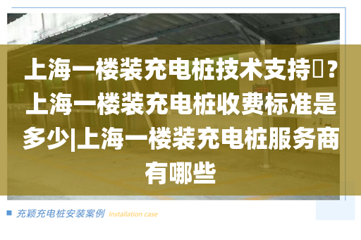 上海一楼装充电桩技术支持​？上海一楼装充电桩收费标准是多少|上海一楼装充电桩服务商有哪些