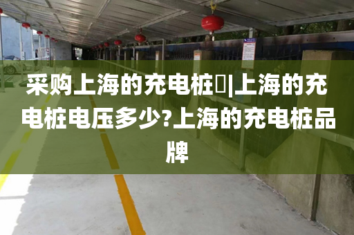 采购上海的充电桩​|上海的充电桩电压多少?上海的充电桩品牌
