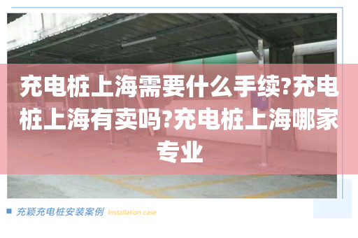 充电桩上海需要什么手续?充电桩上海有卖吗?充电桩上海哪家专业
